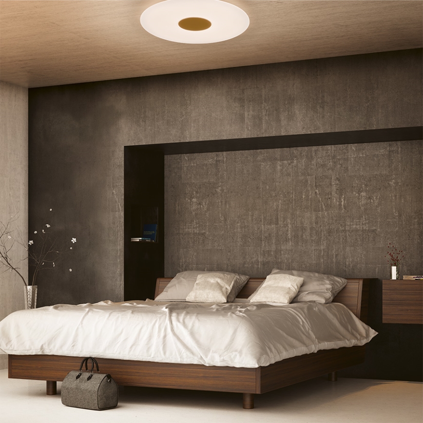 Philips - LED Dimming ceiling light LED/75W/230V