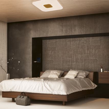 Philips - LED Dimmable ceiling light LED/75W/230V + remote control