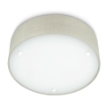 Philips - Ceiling light 2xE27/23W/230V