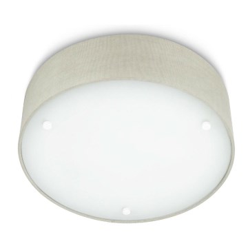 Philips - Ceiling light 2xE27/23W/230V