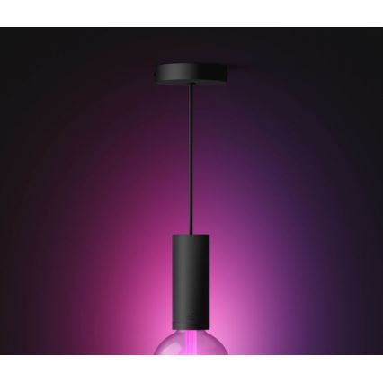 Philips - Chandelier on a string Hue GUIDE 1xE27/60W/230V