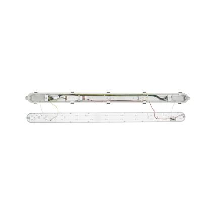 Philips - CORELINE LED Industrial Batten Luminaire 37.5W/230V 150 cm IP66