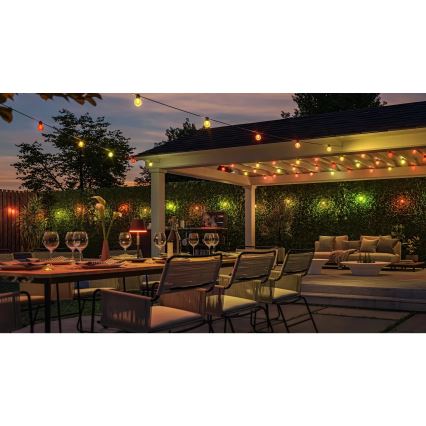 Philips - Hue FESTAVIA LED RGBW Dimmable Outdoor String Lights, 20 LEDs, 14 m, IP65