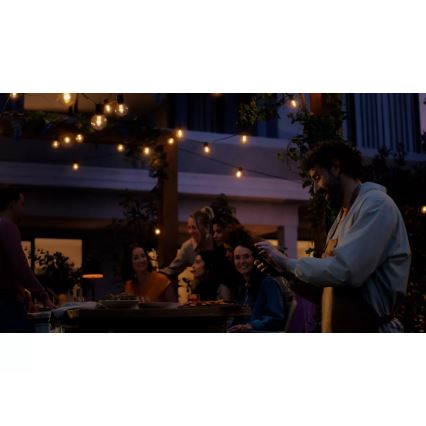 Philips - Hue FESTAVIA LED RGBW Dimmable Outdoor String Lights, 20 LEDs, 14 m, IP65