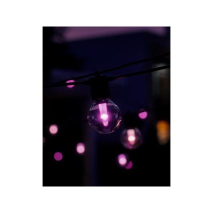 Philips - Hue FESTAVIA RGBW LED Dimmable Outdoor Extension String, 10 LEDs, 7 m, IP65