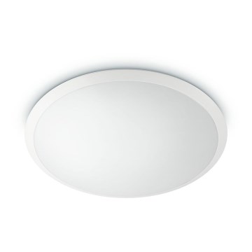 Philips - LED Ceiling light 1xLED/36W/230V