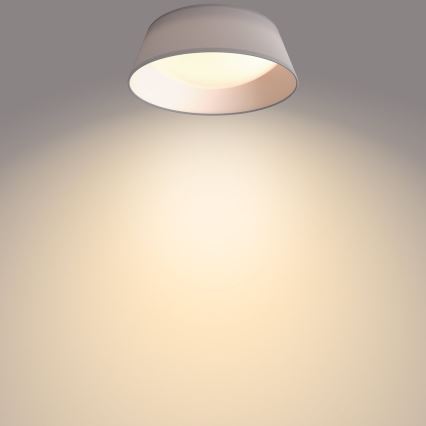 Philips - LED Ceiling light LED/14W/230V gray