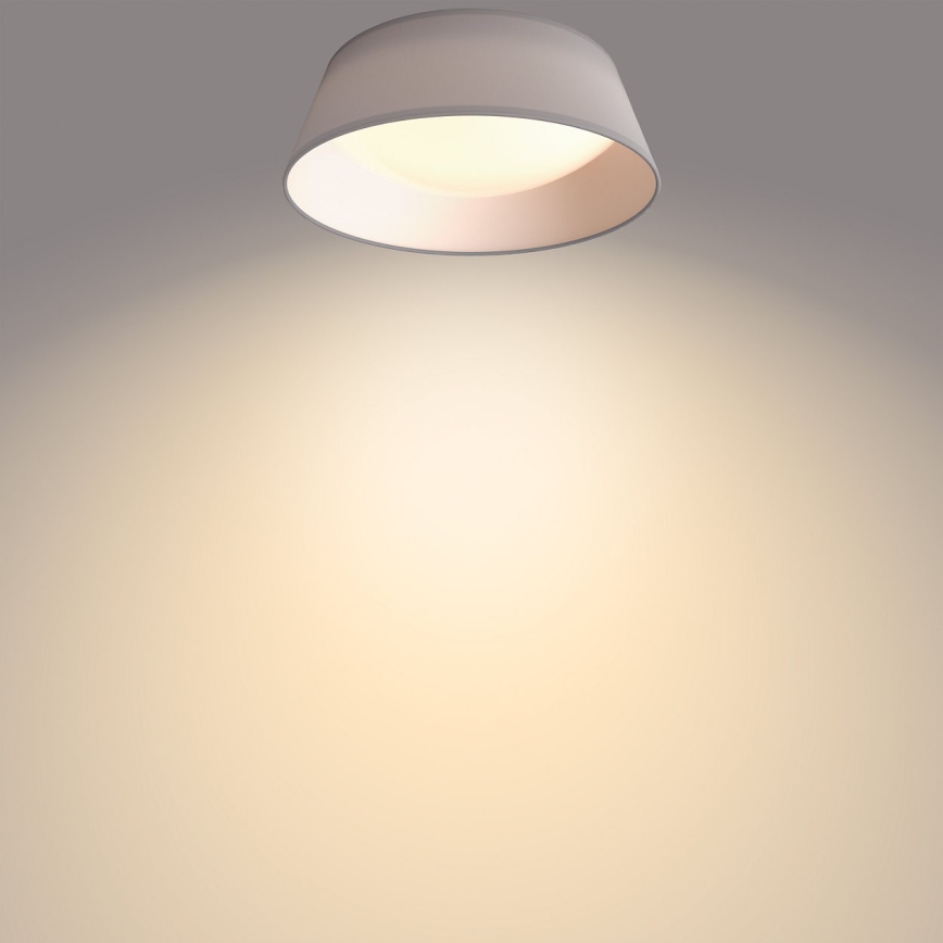 Philips - LED Ceiling light LED/14W/230V gray