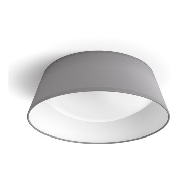 Philips - LED Ceiling light LED/14W/230V gray