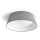 Philips - LED Ceiling light LED/14W/230V gray