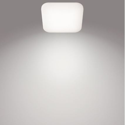 Philips - LED Ceiling light LED/24W/230V 4000K