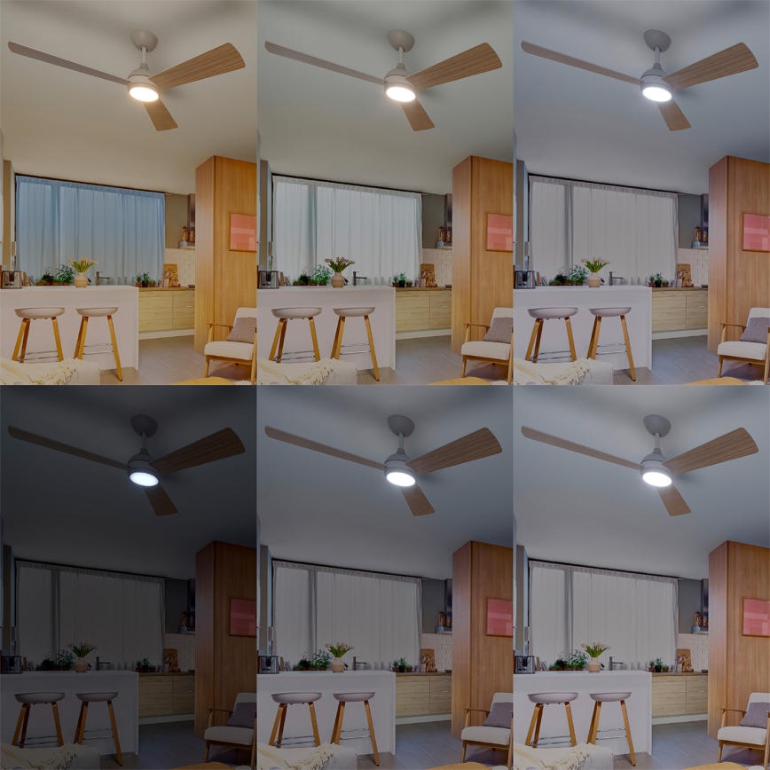 Philips - Dimmable LED Ceiling Fan CIVX LED/24W/230V + Remote Control