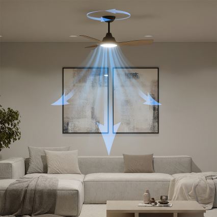 Philips - Dimmable LED Ceiling Fan OLAS LED/24W/230V Ø 106 cm Black/Brown + Remote Control