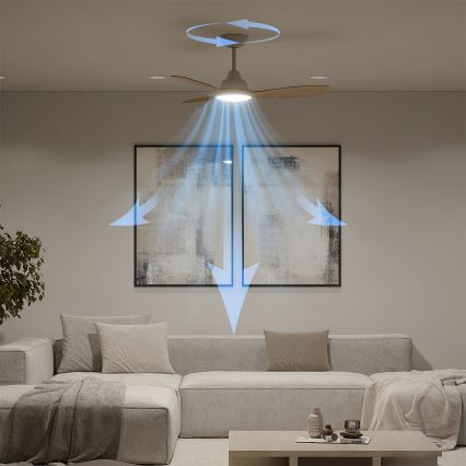 Philips - Dimmable LED ceiling fan OLAS LED/24W/230V Ø 106 cm White/Brown + remote control