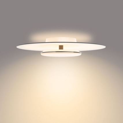 Philips- LED Dimmable ceiling light SCENE SWITCH LED/40W/230V 2700K black