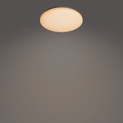 Philips - LED Dimmable ceiling light LED/24W/230V 2700-6500K + remote control