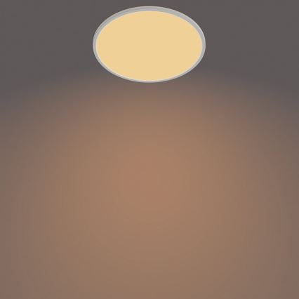 Philips - LED Dimmable ceiling light SCENE SWITCH LED/22W/230V