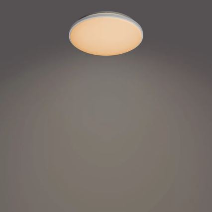 Philips - LED Dimmable ceiling light LED/24W/230V 2700-6500K + remote control