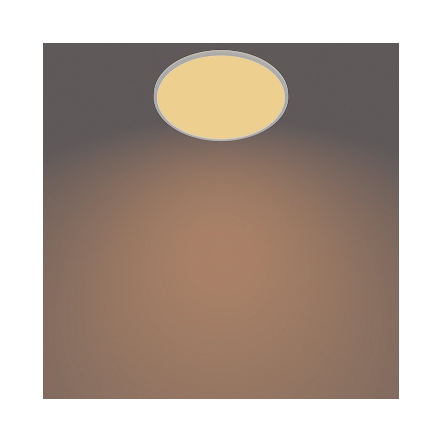 Philips - LED Dimmable outdoor light SCENE SWITCH LED/15W/230V IP54 white