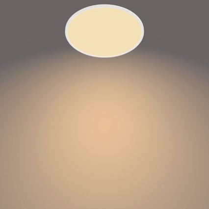 Philips - LED Dimmable outdoor light SCENE SWITCH LED/15W/230V IP54 white