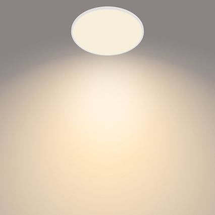 Philips - LED Dimmable outdoor light SCENE SWITCH LED/15W/230V IP54 white