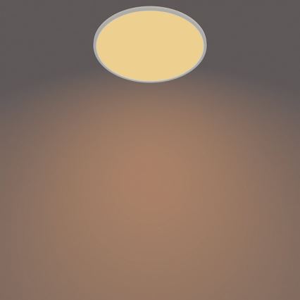 Philips - LED Dimmable outdoor light SUPERSLIM SCENE SWITCH LED/15W/230V IP54 white