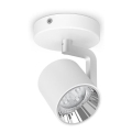 Philips - LED Dimmable spotlight 1xLED/4.5W/230V