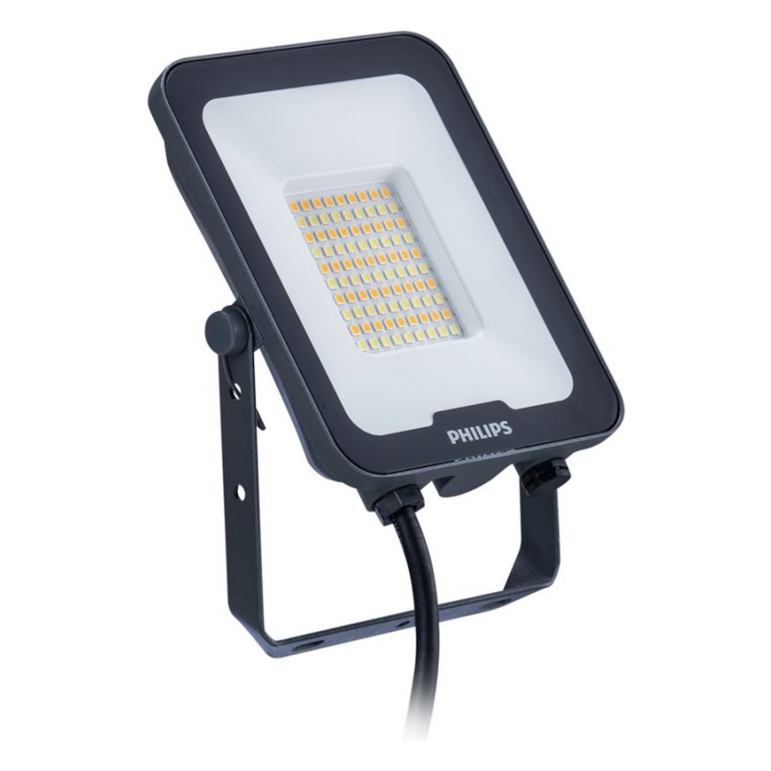 Philips - LED Floodlight LEDINAIRE ALL-IN LED/30W/230V 3000/4000/6500K IP65