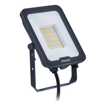 Philips - LED Floodlight LEDINAIRE ALL-IN LED/50W/230V 3000/4000/6500K IP65 anthracite