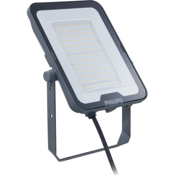 Philips - LED Floodlight LEDINAIRE ALL-IN LED, 65 W, 230 V, 3000/4000/6500 K, IP65