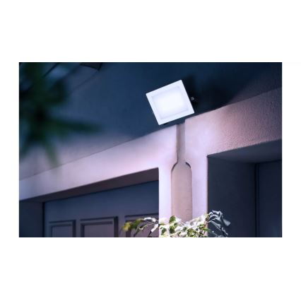 Philips - LED Floodlight LOIS LED/30W/230V IP65 5000K