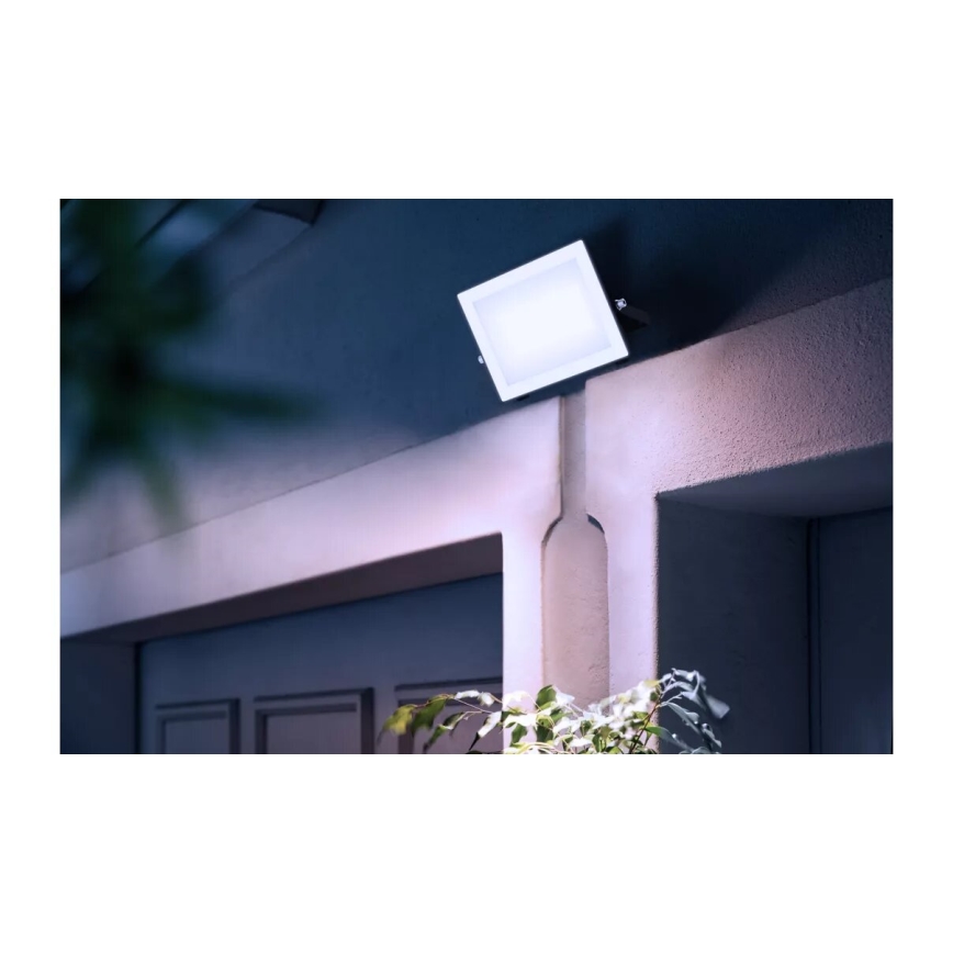 Philips - LED Floodlight LOIS LED/50W/230V IP65 5000K