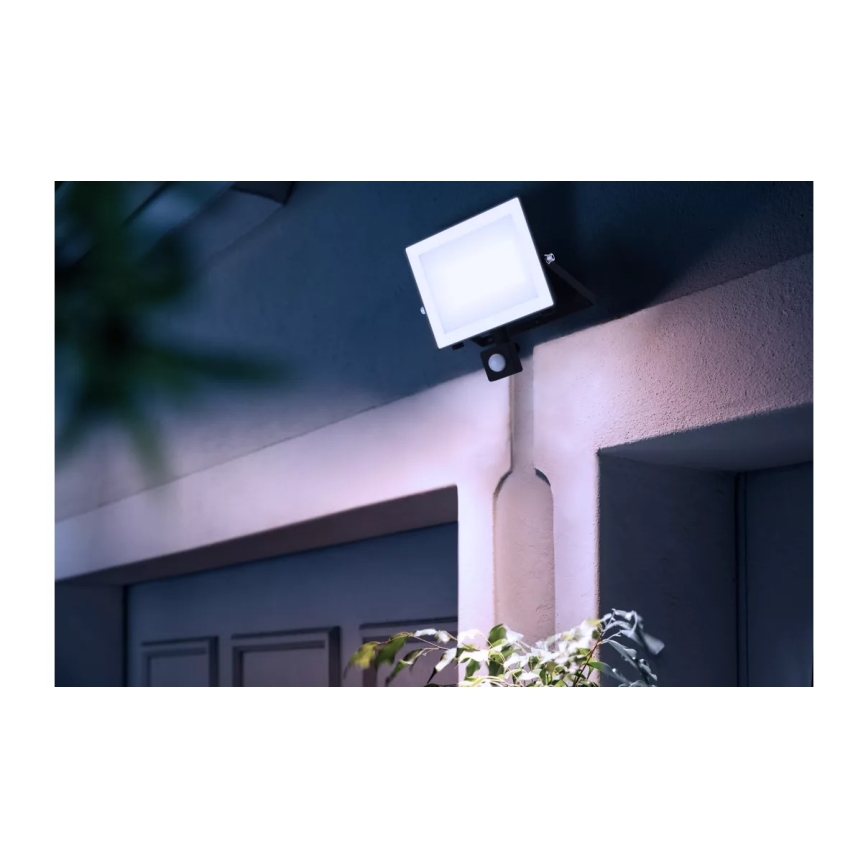 Philips - LED Floodlight with a sensor LOIS LED/50W/230V IP65 5000K