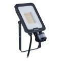 Philips - LED Floodlight with Motion and Dusk Sensor LEDINAIRE ALL-IN LED/30W/230V 3000/4000/6500K IP65