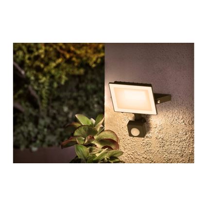 Philips - LED Floodlight with Sensor LOIS LED/20W/230V IP65 3000K