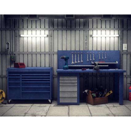 Philips - LED Heavy-duty light PROJECTLINE LED/54W/230V 150 cm IP65