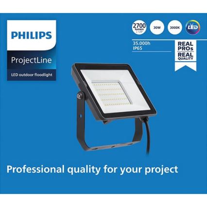 Philips - LED Outdoor floodlight PROJECTLINE LED/30W/230V IP65 3000K