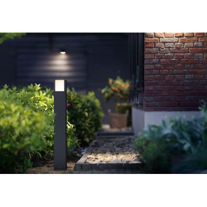 Philips - LED Outdoor lamp ARBOUR LED/3,8W/230V 77 cm 2700K IP44