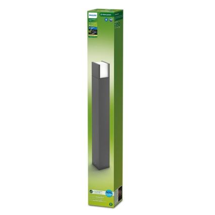 Philips - LED Outdoor lamp ARBOUR LED/3,8W/230V 77 cm 2700K IP44