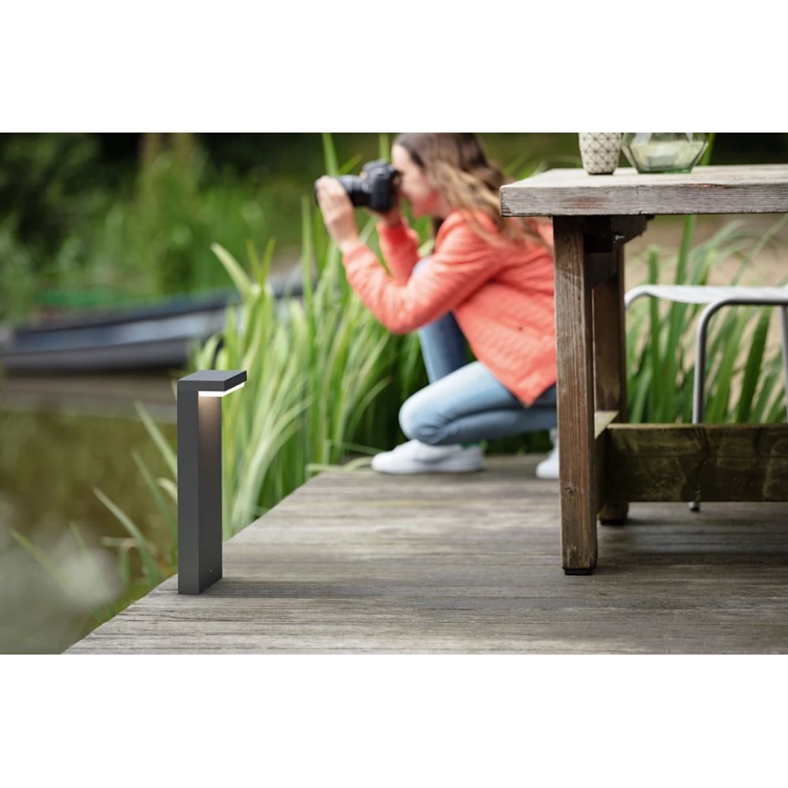 Philips - LED Outdoor lamp BUSTAN LED/3,8W/230V 2700K 77 cm IP44