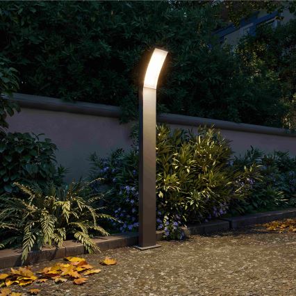 Philips - LED Outdoor Lamp SPLAY LED/4.3W/230V 2700K 96 cm IP44