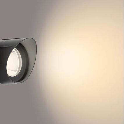 Philips - LED Outdoor spotlight LED/6W/12V 2700K IP44