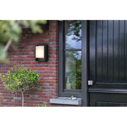 Philips - LED Outdoor wall light ARBOUR LED/3,8W/230V 2700K IP44