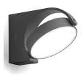 Philips - LED Outdoor wall light LED/7W/230V 4000K IP44