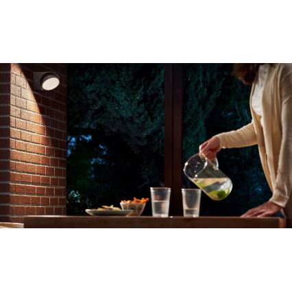Philips - LED Outdoor wall light LED/7W/230V 2700K IP44