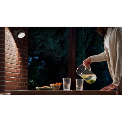 Philips - LED Outdoor wall light LED/7W/230V 4000K IP44