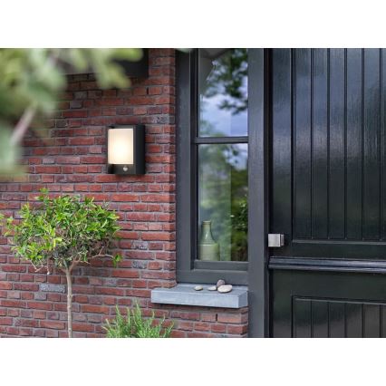 Philips - LED Outdoor wall light with a sensor ARBOUR LED/3,8W/230V 2700K IP44