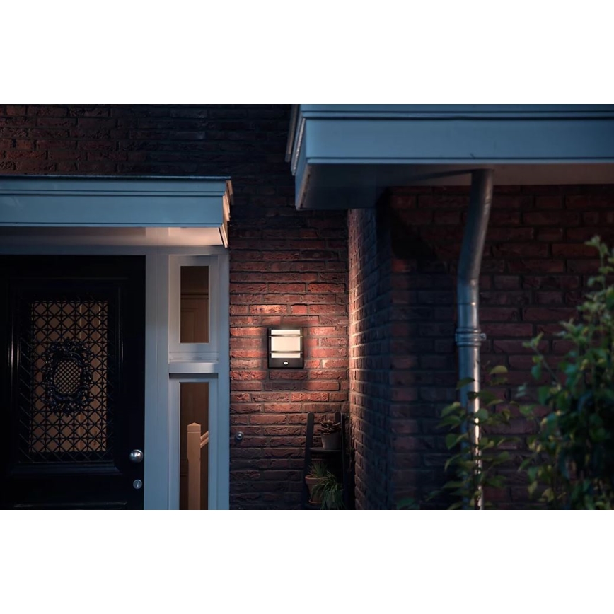 Philips - LED Outdoor wall light with a sensor PETRONIA LED/3,8W/230V IP44