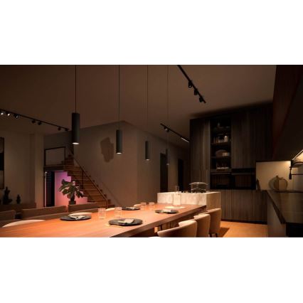 Philips - LED RGB Dimmable chandelier on a string for rail system Hue PERIFO LED RGB/5,2W/24V 2000-6500K