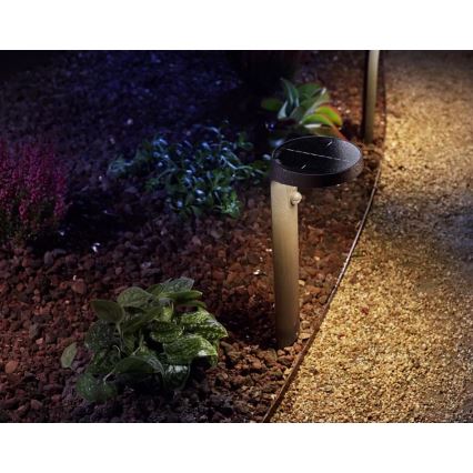 Philips - LED Solar lamp with a sensor LED/1,2W/4V 3000K IP44